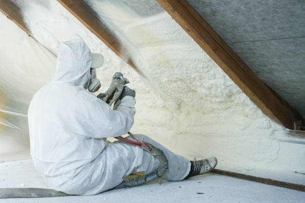 Best Spray Foam Insulation  in , LA