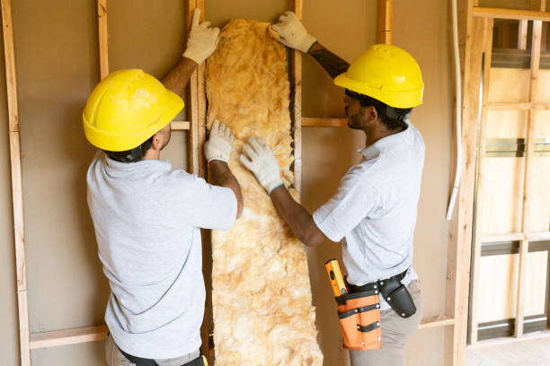 Best Attic Insulation Installation  in , LA