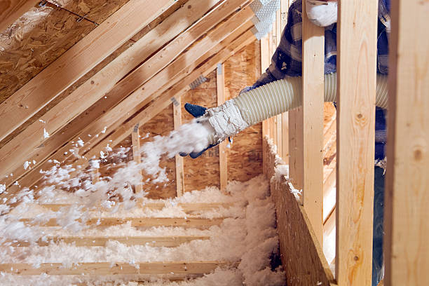 Best Insulation Air Sealing  in , LA